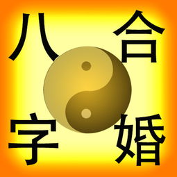 两个人八字合局